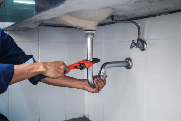 Best Clogged Drain Plumber  in Violet, LA